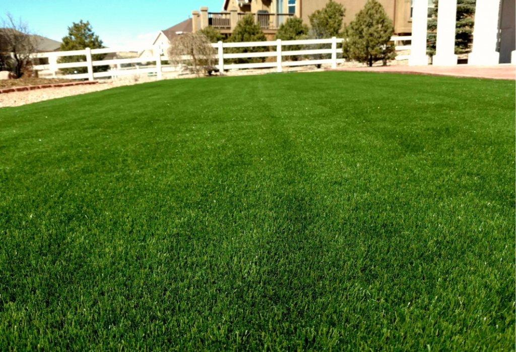 Whole Sale Turf For Colorado Landscapers