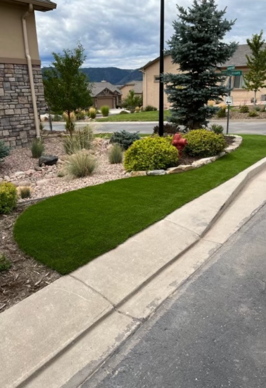 frontyard artificial grass
