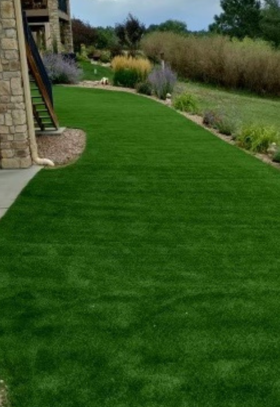 backyard artificial grass