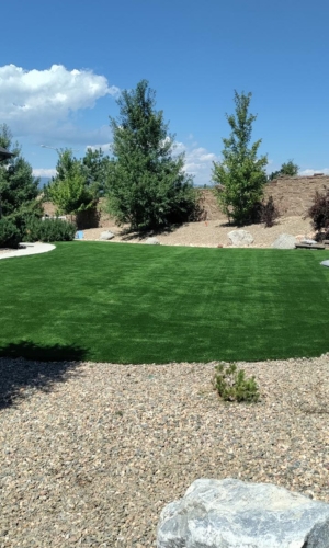 Artificial Turf Design Ideas colorado springs