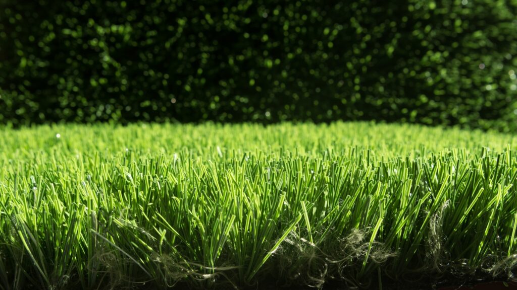artificial turf summer