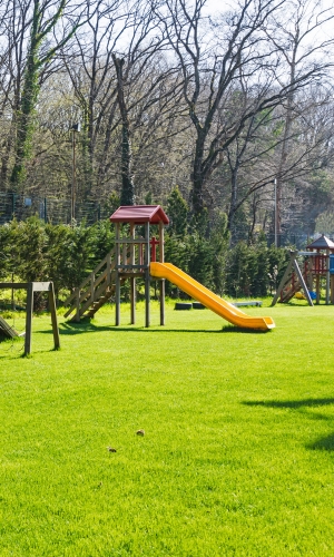 commercial turf installation Colorado Springs