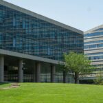 Top 5 Reasons to Choose Artificial Turf for Your Colorado Springs Business