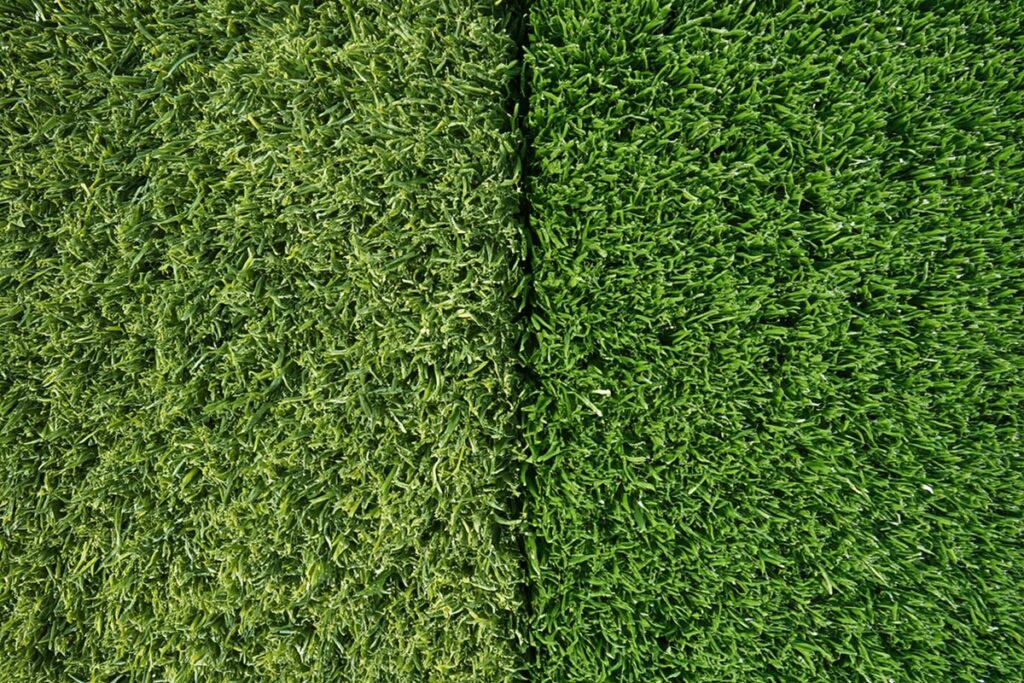 artificial turf vs natural grass Colorado Springs